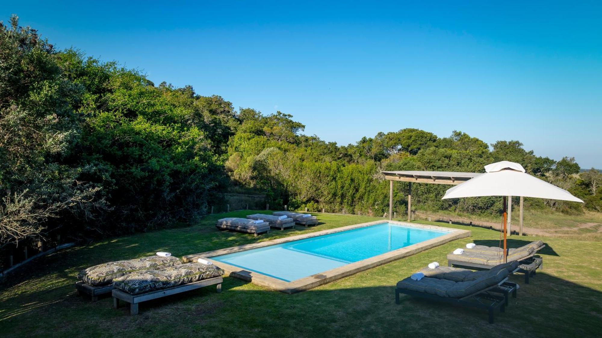 Belle Balance Bush Lodge Plettenberg Bay Extérieur photo