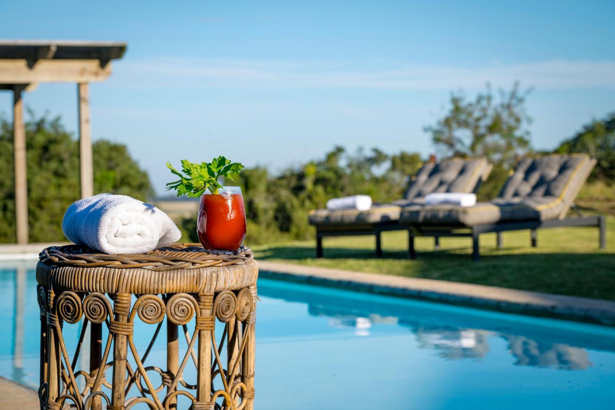 Belle Balance Bush Lodge Plettenberg Bay Extérieur photo