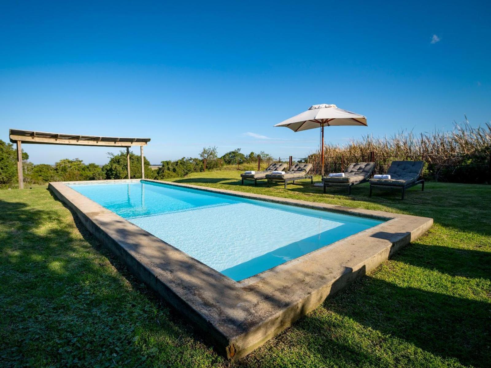 Belle Balance Bush Lodge Plettenberg Bay Extérieur photo